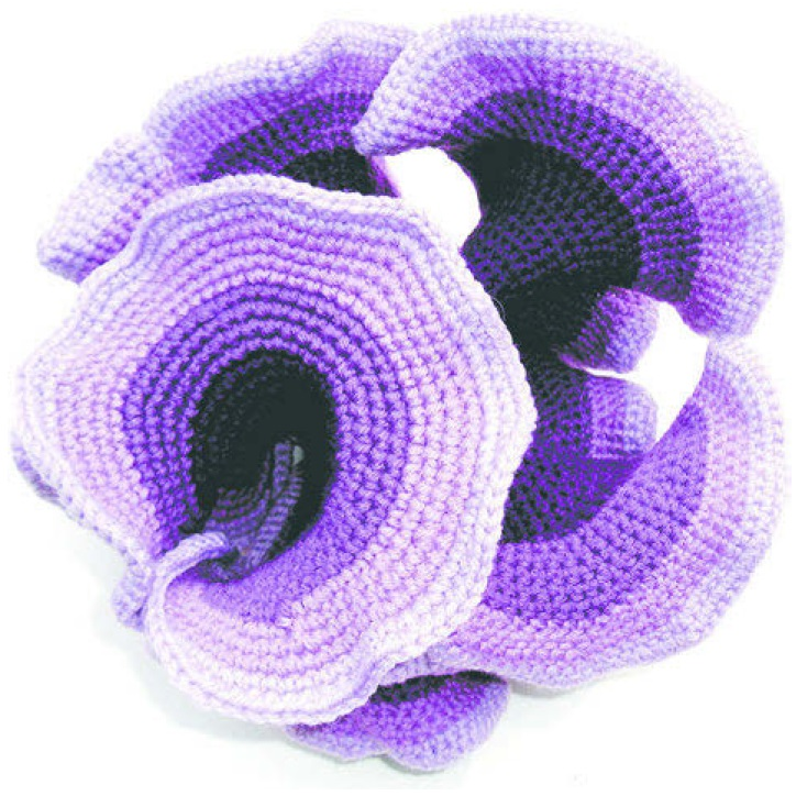 A photo by Daina Taimina of a knitted hyperbolic surface.